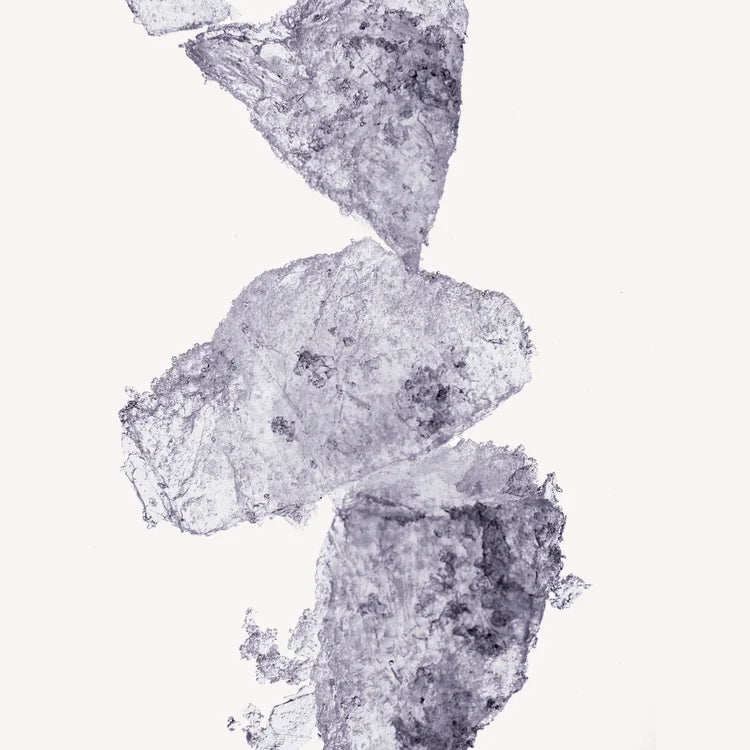 ROYAL ROSE 100ML FEMME