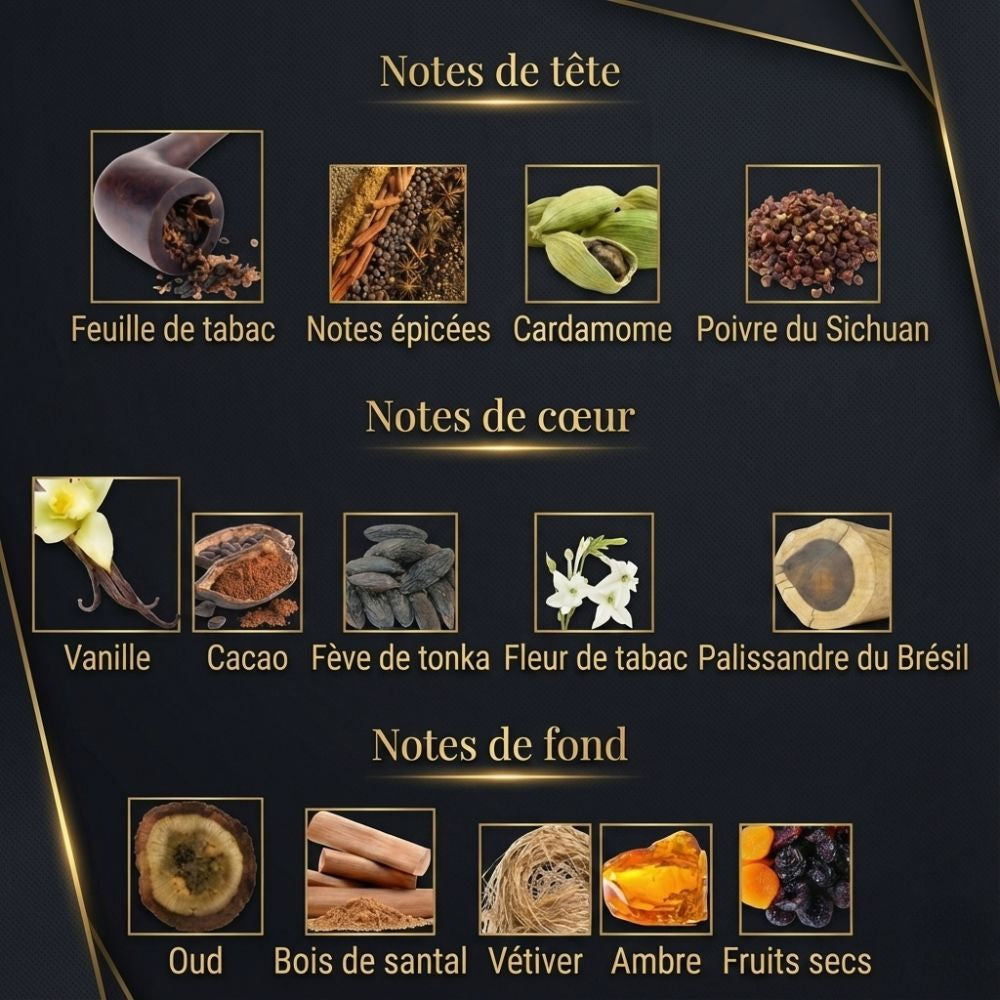 VOLZAK PARFUM BOIS NOBLE 100ml HOMME