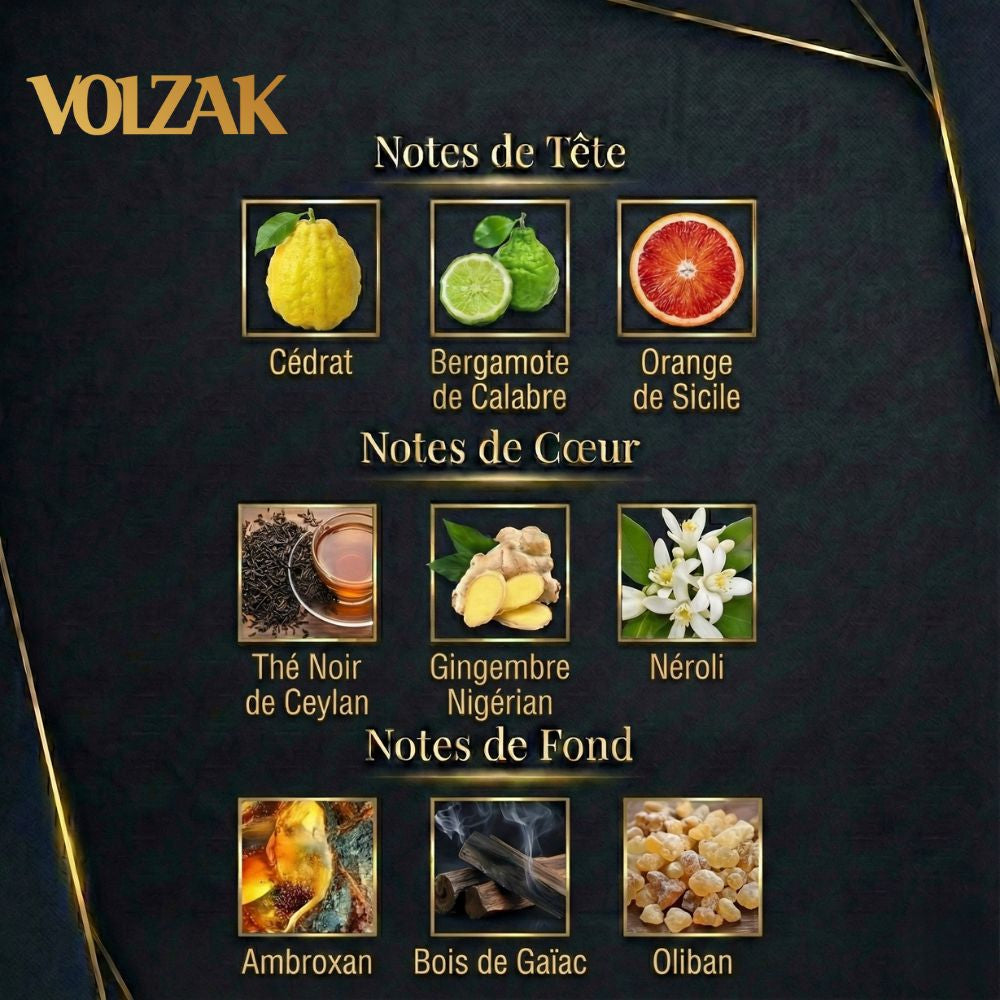 VOLZAK PARFUM VISIONARY 100ML HOMME