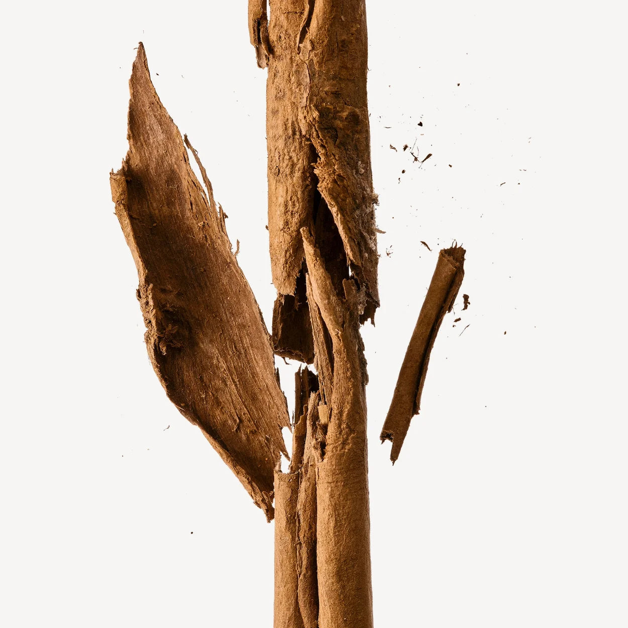 MIEL DORÉ 100ML HOMME