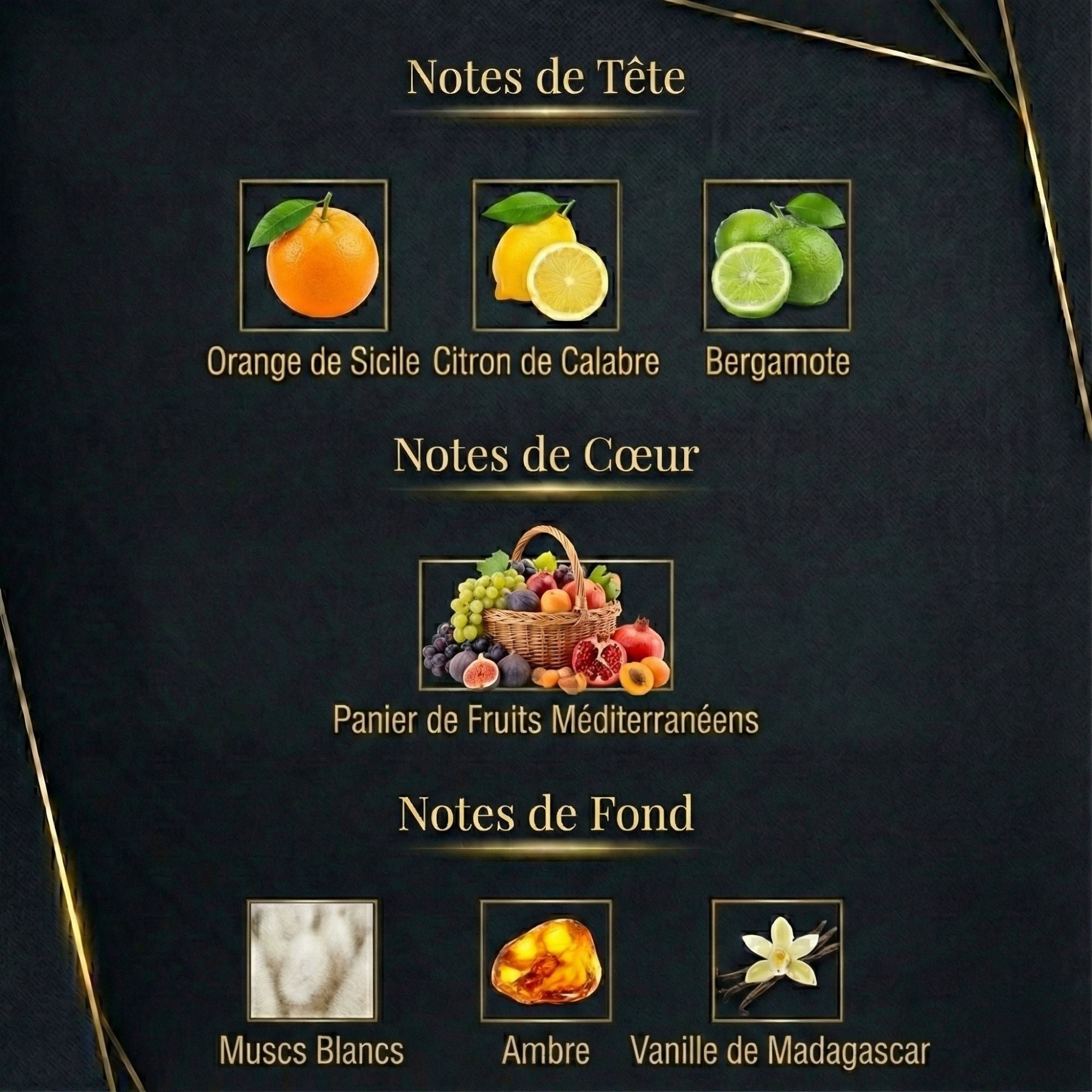 VOLZAK PARFUM EXOTIQUES 100ML HOMME