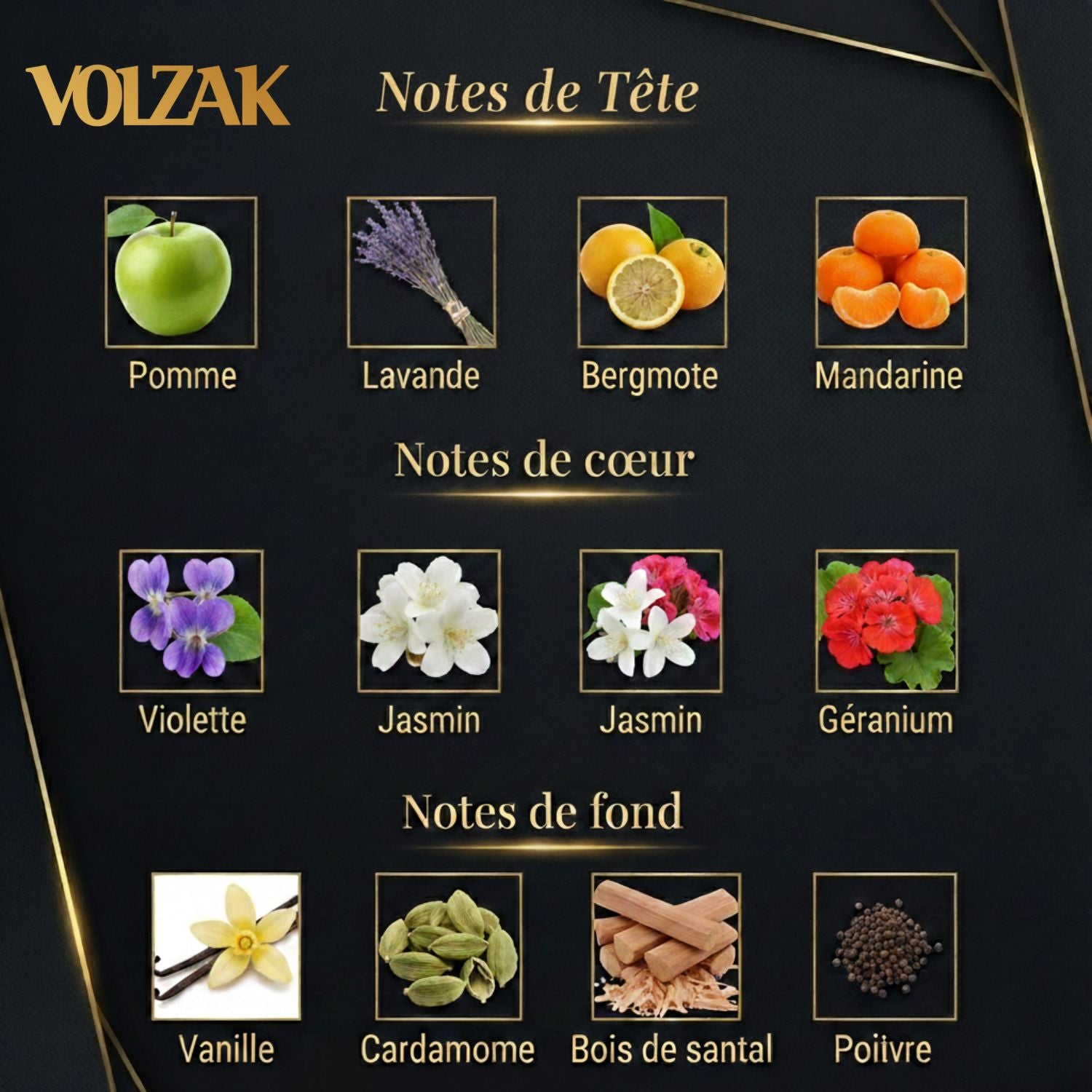VOLZAK PARFUM NOBLESSE INTENSE 100ML HOMME
