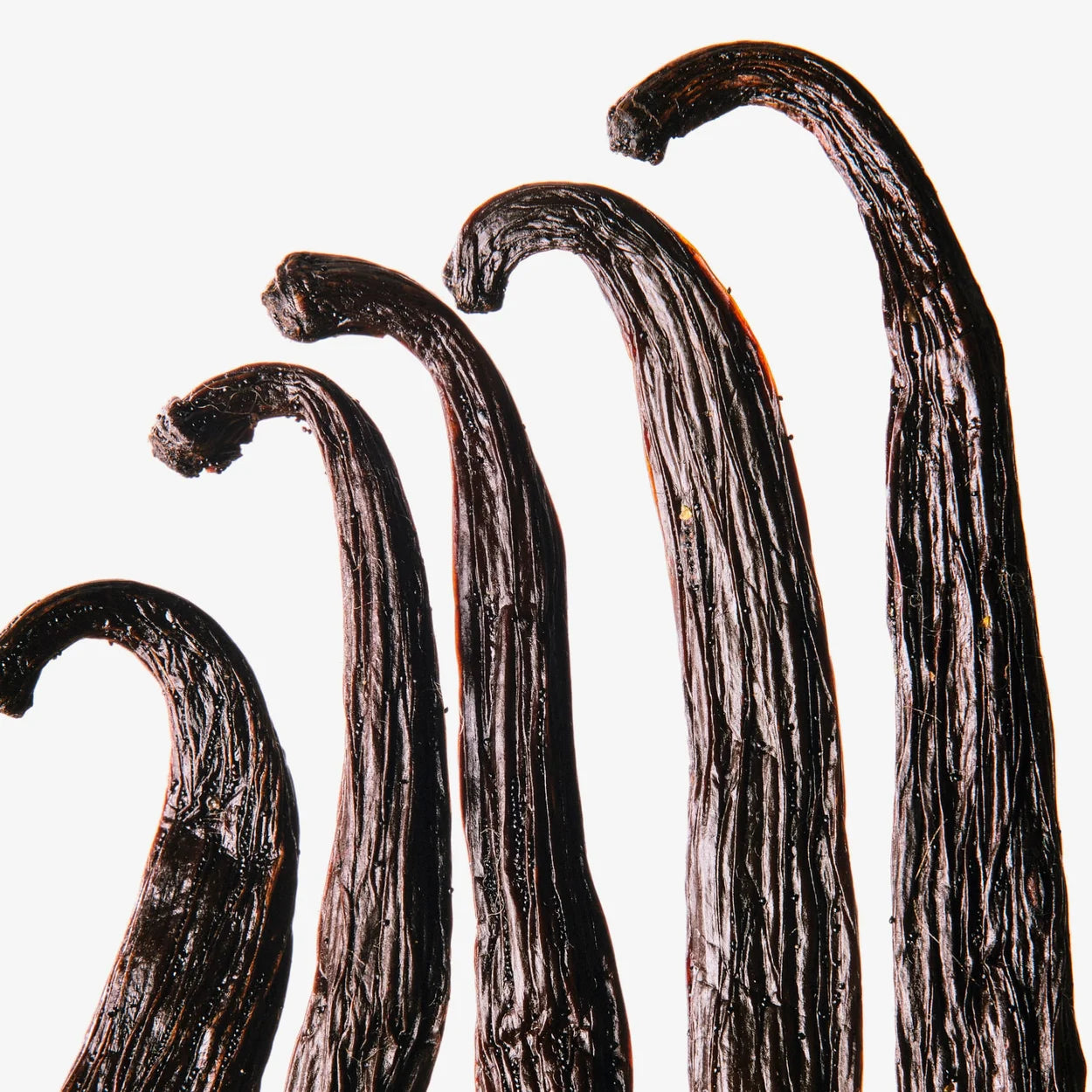 VOLZAK PARFUM ROYAL ROSE 100ML FEMME