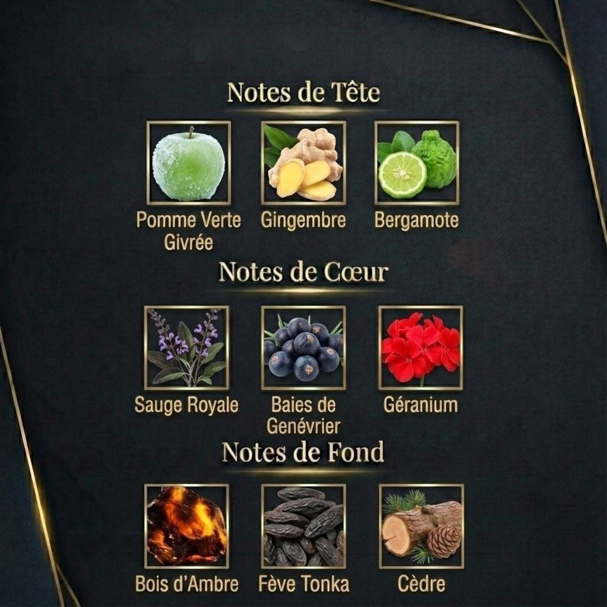 VOLZAK PARFUM APPLE 50ML HOMME