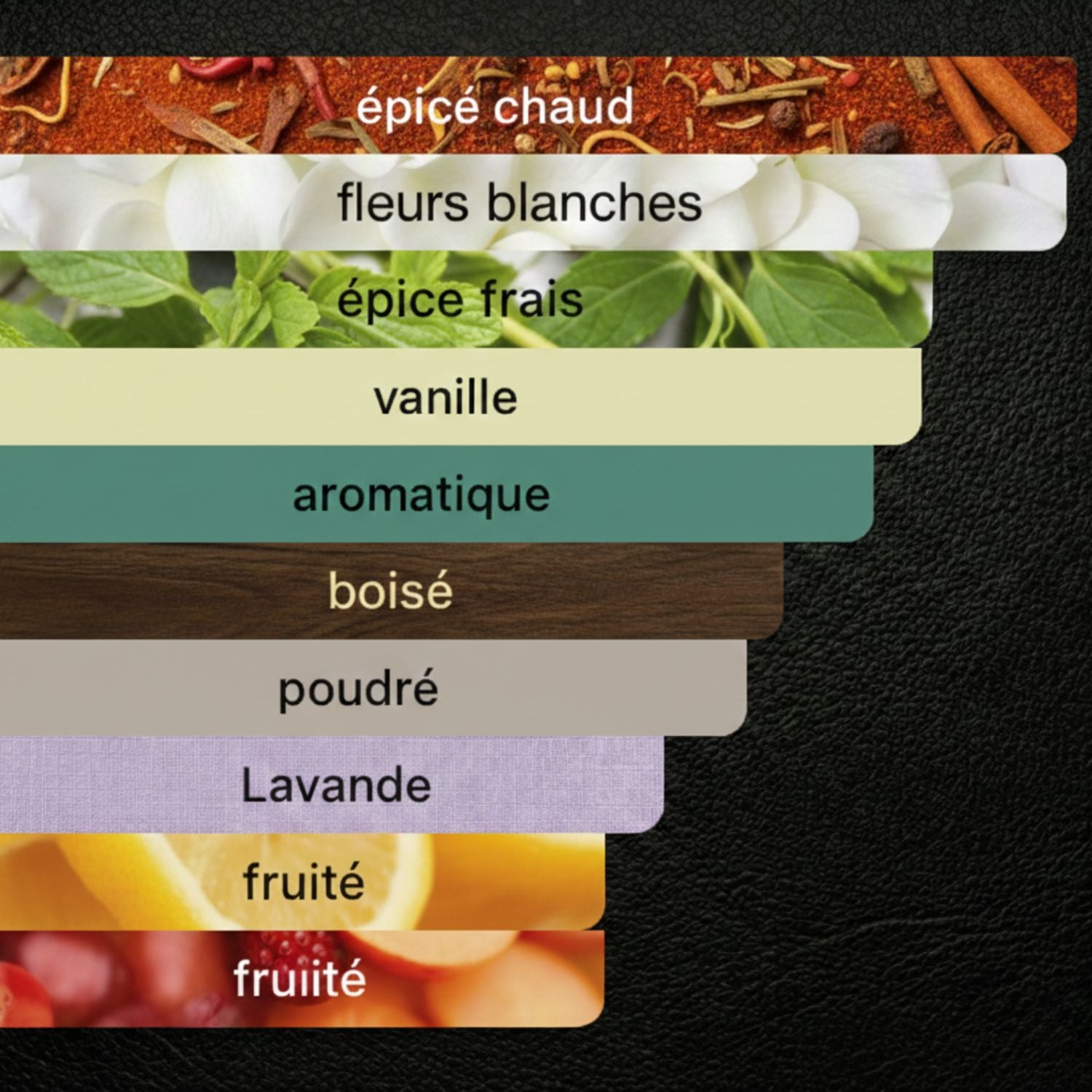 VOLZAK PARFUM NOBLESSE INTENSE 100ML HOMME